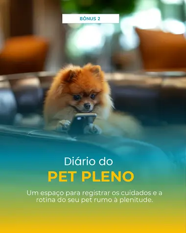bonus-2.webp