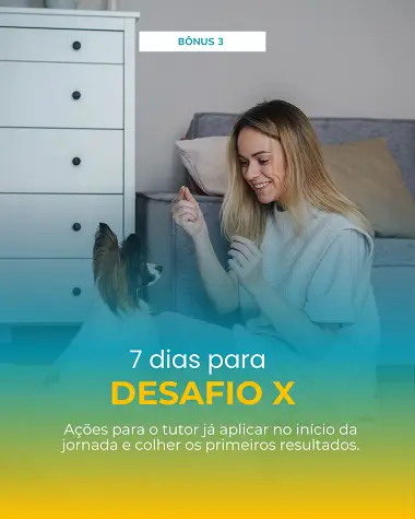 bonus-3.webp