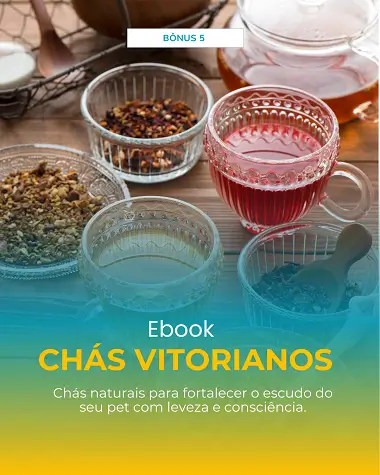 bonus-5.webp